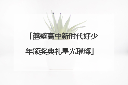 鹤壁高中新时代好少年颁奖典礼星光璀璨