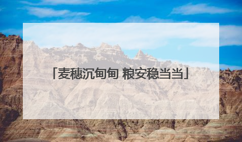 麦穗沉甸甸 粮安稳当当