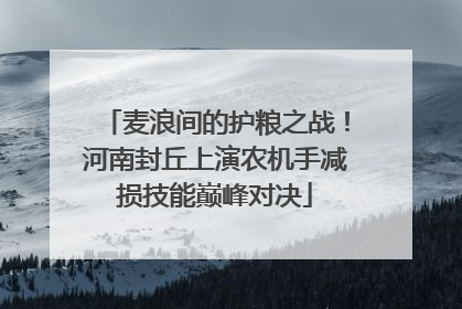 麦浪间的护粮之战！河南封丘上演农机手减损技能巅峰对决