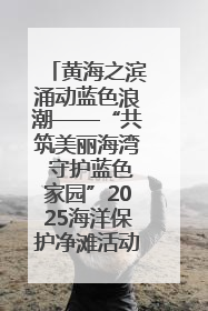 黄海之滨涌动蓝色浪潮——“共筑美丽海湾 守护蓝色家园”2025海洋保护净滩活动暨“美丽江苏—江河湖海青蓝行”海洋篇在连云港举行