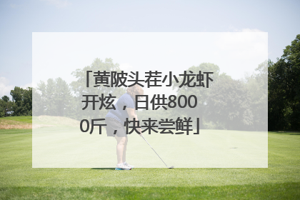 黄陂头茬小龙虾开炫，日供8000斤，快来尝鲜