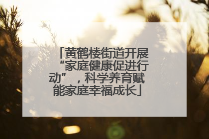 黄鹤楼街道开展“家庭健康促进行动”，科学养育赋能家庭幸福成长