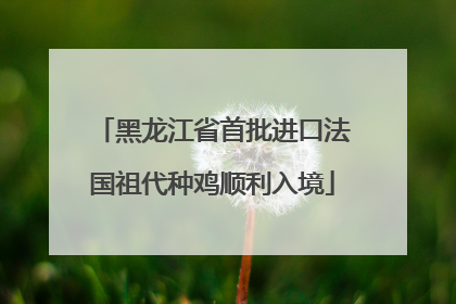 黑龙江省首批进口法国祖代种鸡顺利入境