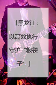 黑龙江：以高效执行守护“粮袋子”