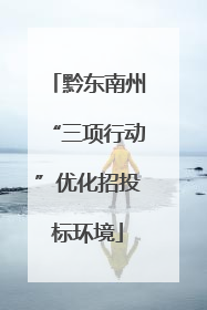 黔东南州“三项行动”优化招投标环境
