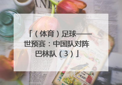 （体育）足球——世预赛：中国队对阵巴林队（3）
