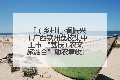 （乡村行·看振兴）广西钦州荔枝集中上市 “荔枝+农文旅融合”助农增收