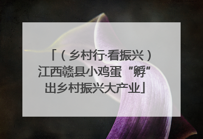（乡村行·看振兴）江西赣县小鸡蛋“孵”出乡村振兴大产业