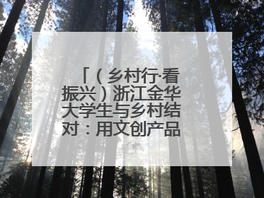 （乡村行·看振兴）浙江金华大学生与乡村结对：用文创产品赋能乡村振兴