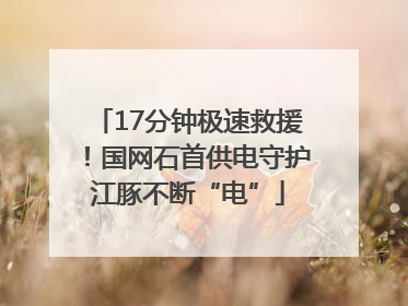 17分钟极速救援！国网石首供电守护江豚不断“电”
