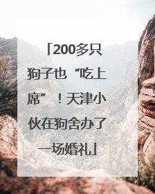 200多只狗子也“吃上席”！天津小伙在狗舍办了一场婚礼