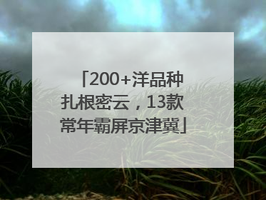 200+洋品种扎根密云，13款常年霸屏京津冀