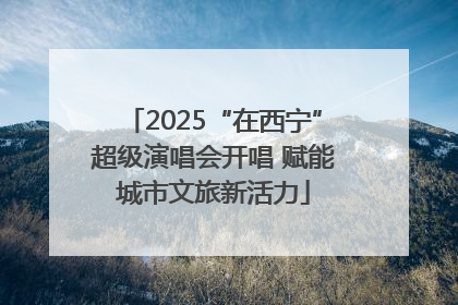 2025“在西宁”超级演唱会开唱 赋能城市文旅新活力