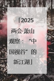 2025两会·萧山观察：“中国视谷”的新江湖
