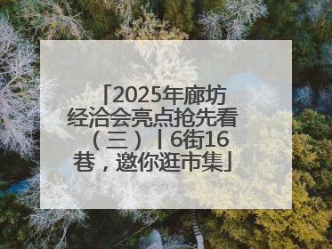 2025年廊坊经洽会亮点抢先看（三）丨6街16巷，邀你逛市集