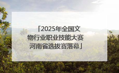 2025年全国文物行业职业技能大赛河南省选拔赛落幕