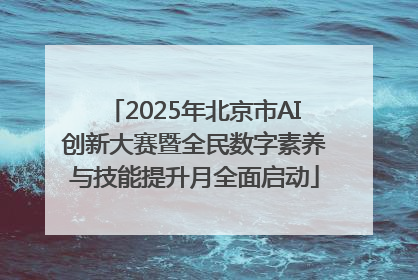 2025年北京市AI创新大赛暨全民数字素养与技能提升月全面启动