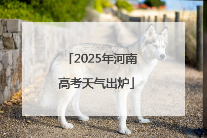 2025年河南高考天气出炉