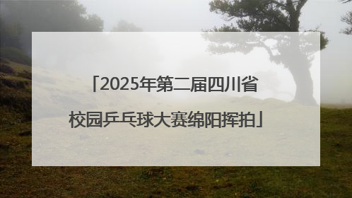 2025年第二届四川省校园乒乓球大赛绵阳挥拍