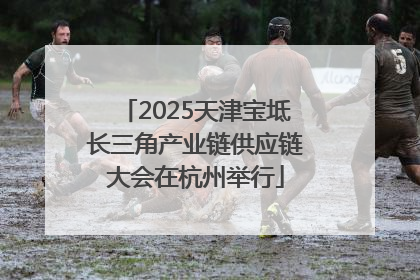 2025天津宝坻长三角产业链供应链大会在杭州举行