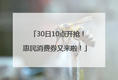 30日10点开抢！惠民消费券又来啦！