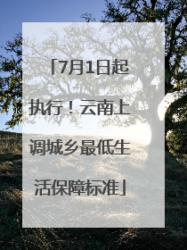 7月1日起执行！云南上调城乡最低生活保障标准