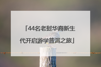 44名老挝华裔新生代开启游学普洱之旅