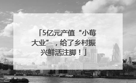 5亿元产值“小莓大业”，给了乡村振兴鲜活注脚！