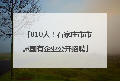 810人！石家庄市市属国有企业公开招聘