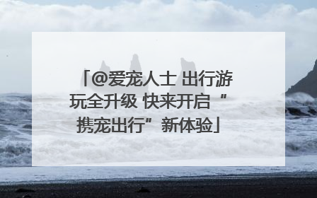 @爱宠人士 出行游玩全升级 快来开启“携宠出行”新体验