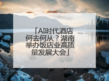 AI时代酒店何去何从？湖南举办饭店业高质量发展大会