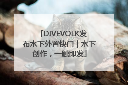 DIVEVOLK发布水下外置快门｜水下创作，一触即发